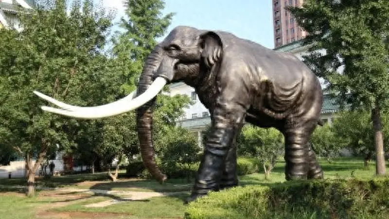 假期去哪玩?潍坊象主题文化园开放了!赴一场20万年的户外奇遇