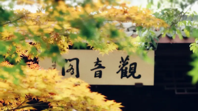 立秋 | 浅秋送清宁