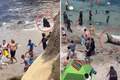 7.13日：快往高处跑呀，加州海滩的暴躁巨型海狮疯狂追人，现场场面一度失控