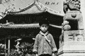 百年有约 一见如故｜“我与沈阳故宫的故事”来稿选刊（七）