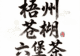 梧州苍梧六堡茶:去茶园体验采茶制茶,品味红浓陈醇