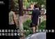 上海一小区水池现60公分鳄鱼 疑似业主宠物被弃养 已移交动物园