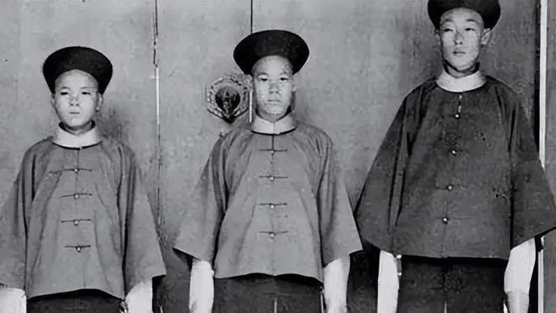 太监,真的有净身不彻底的吗?一名宫女道出了鲜为人知的真相!