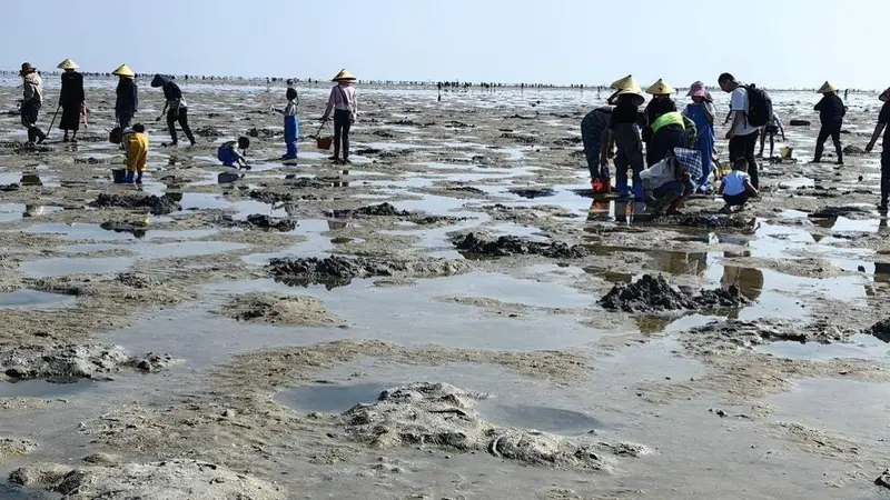 合浦沙岗镇赶海地点，合浦沙岗镇赶海时间表，合浦沙岗镇赶海潮汐表怎么查