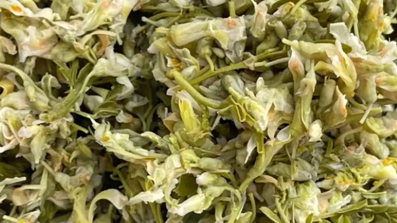 采撷春山带刺花苞,酸菜爆炒尝云南时令野菜真味