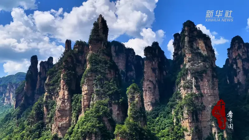 千城百县看中国|湖南张家界:临溪避暑觅清幽