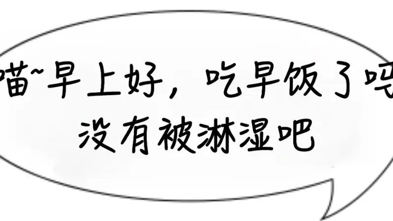 想要稳住体重？早餐不妨多吃鸡蛋！