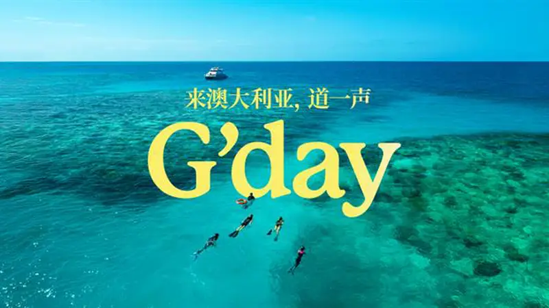 来凯恩斯只玩了大堡礁?那你真的错过了太多|地区指南