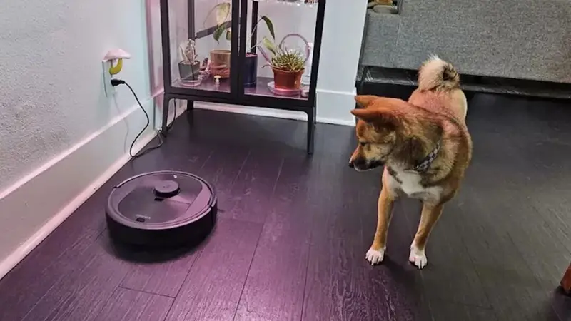 美国,封杀了中国扫地机