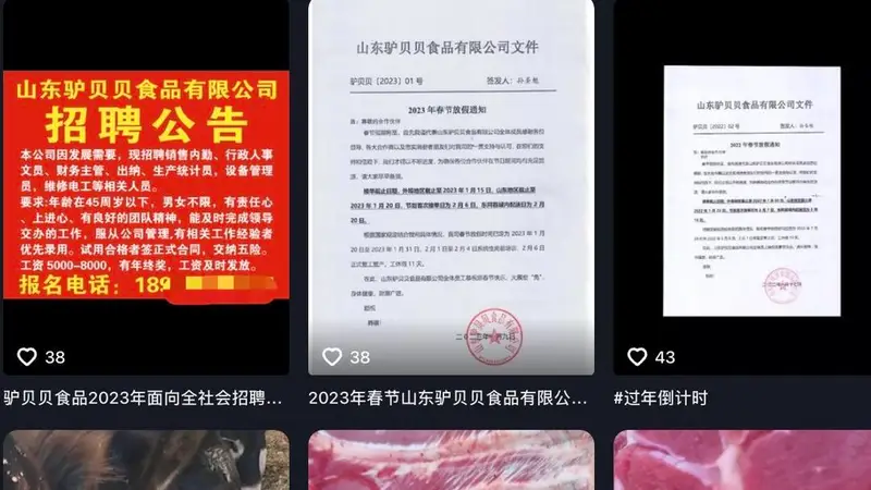 200克袋装“卤驴肉”仅售约10元 企业用猪肉冒充驴肉销售过亿余元,两实控人被判无期