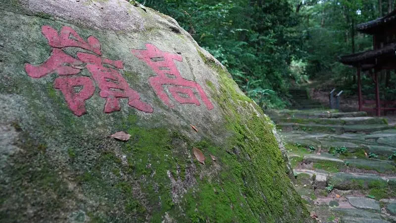 新华视点|寻瓷记