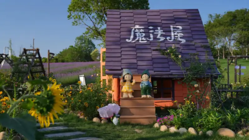 稻香花海里的浪漫,这个盛夏来雨花“听音赏萤”!