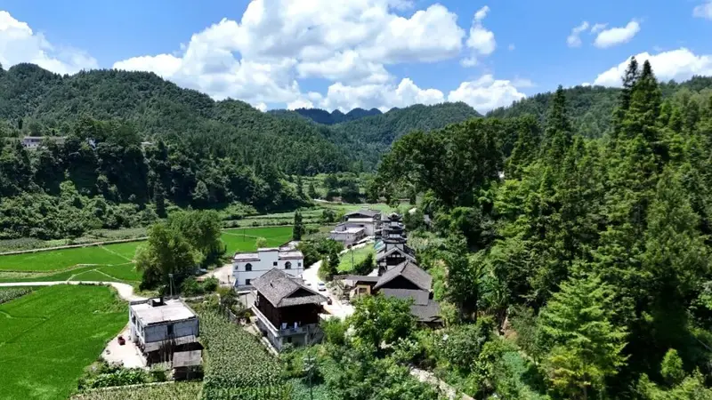 务川:山野民宿激活乡村微旅游