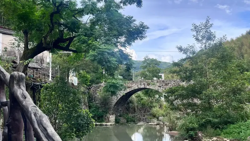 枕水而居 推窗见溪——在“泽源纸境”安放夏日清凉