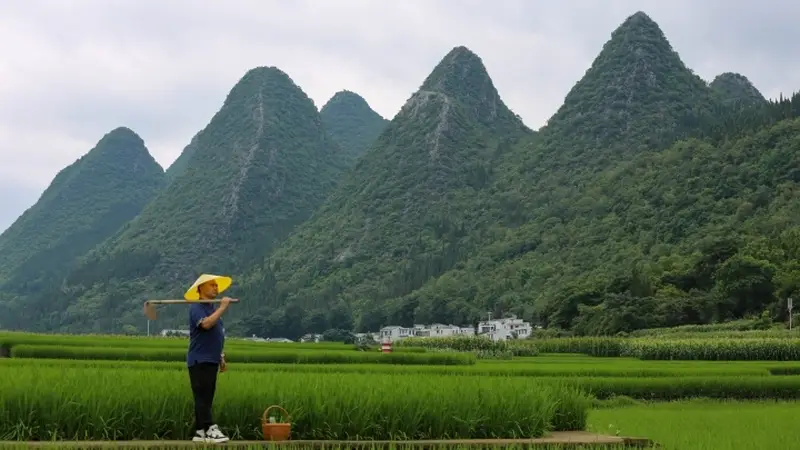 郭军旅居札记|酸汤里的峰林