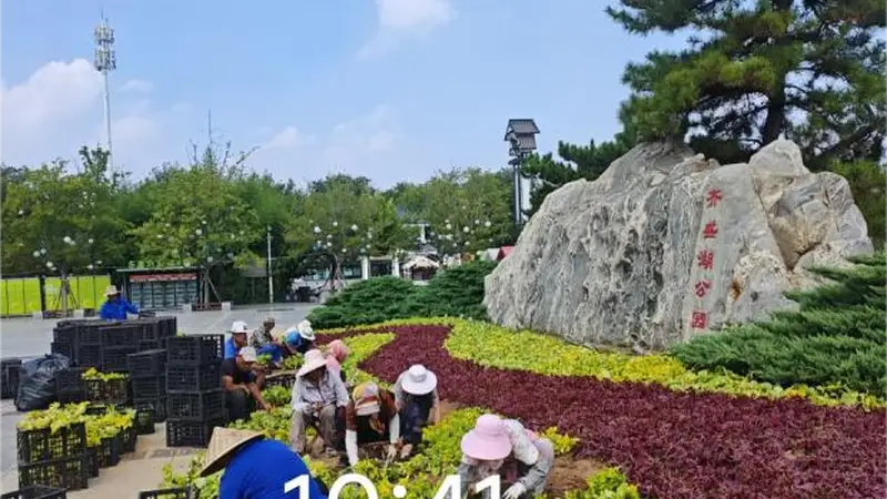 市公园城市服务中心聚力提升齐盛湖公园游园品质