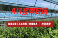 沈阳周末去哪玩 浆果采摘园选择参考