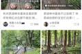 为商拍，西湖网红打卡点被封禁？景区最新回应