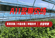 沈阳周末去哪玩 浆果采摘园选择参考