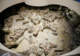 自贡恐龙博物馆焕新升级!7月5日起免费对外开放每日限600人体验