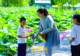 盛夏赏荷正当时,大明湖畔“荷花经济”悄然走红