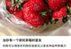 “我是农学生,这是我们组的杂交玉米……”