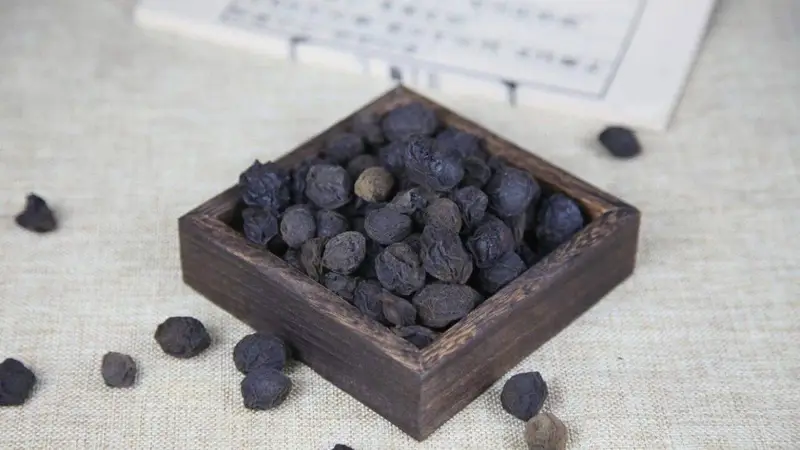 药食推荐丨7月准备开启三伏天“副本”,这种小黑果助你稳稳“通关”