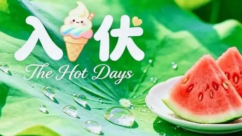 明日入伏,三伏天清淡祛湿一日三餐食谱,舒舒服服过夏天!