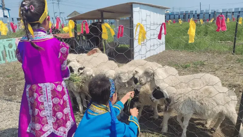 2026年8月呼伦贝尔黑头山俄罗斯族民俗最新体验:正宗访牧户场地推荐