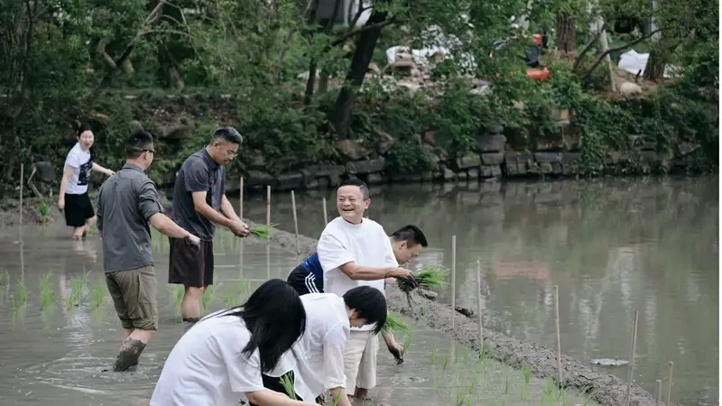阿里管理层集体下田插秧,马云现身传递信心