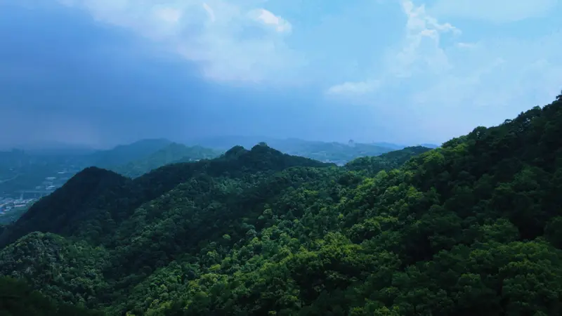 自然渝你 | 走进城市绿野,开启初夏治愈“森”呼吸