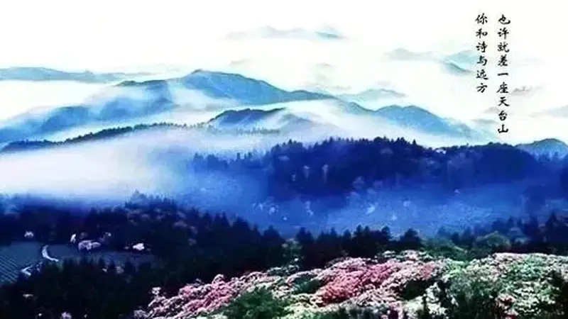 天台宝藏小店！03年姑娘返乡开的治愈茶馆，太会了！