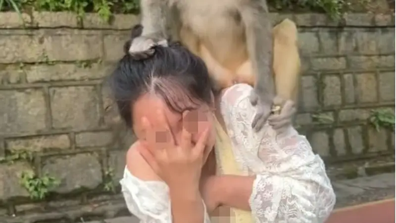 贵阳黔灵山一只猴子骑在女子头上蹦蹦跳跳，女子直呼“自己有点招架不住了”