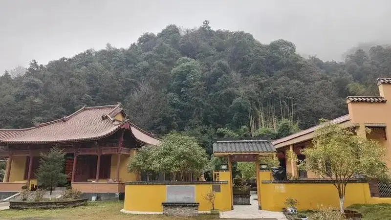一席山房续长芗——瓷都的文脉不止在窑火中，也在书院里