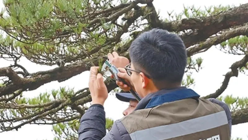 “景点轮休”之外,黄山保护生态还有这些招