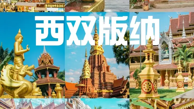 雨林傣韵遇盛夏｜2026 西双版纳暑假出行预订游玩全攻略+FAQ