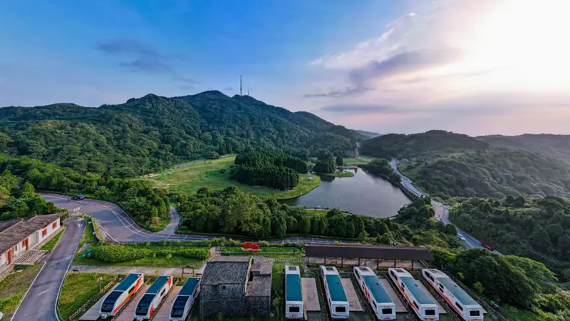 香都林海静,消暑玉林行——玉林森林康养暑期旅游精品线路