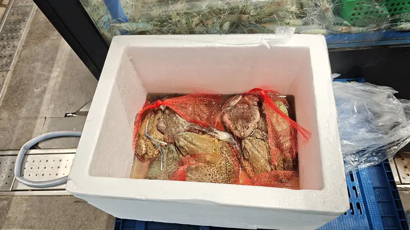 牛蛙抗生素超标风波后，记者实探：上海部分餐厅、农贸市场未受影响，小散户养殖成监管难点